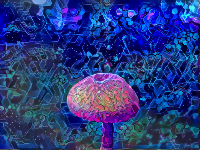 Galactic Fungus