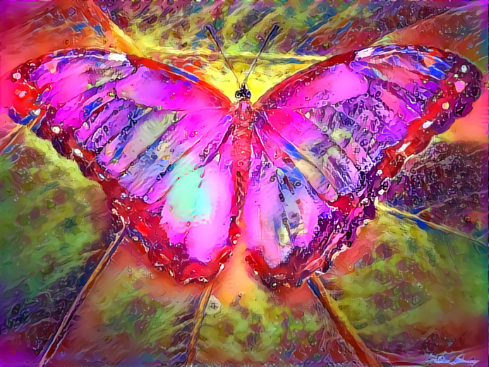 Pink Butterfly