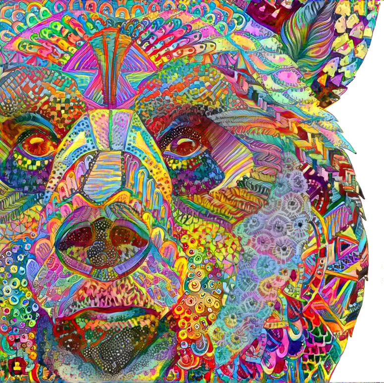 bearpattern