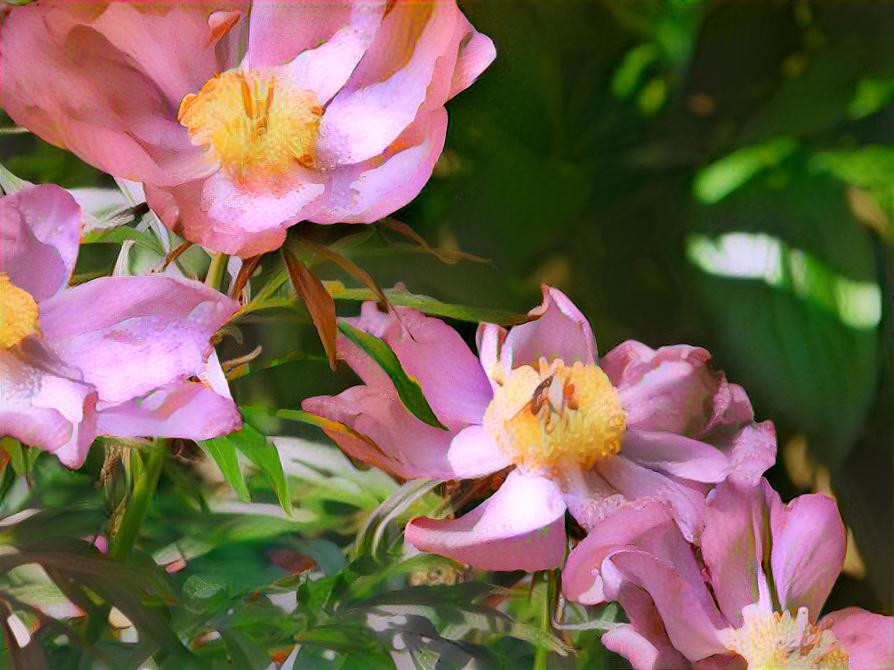 PINK FLOWERS ON GREEN LEAVES