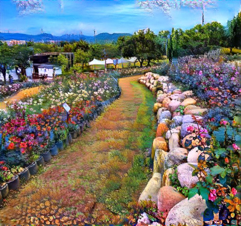 Flowers garden in Ansan city