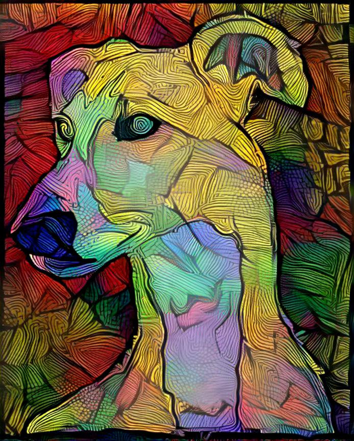 whippet