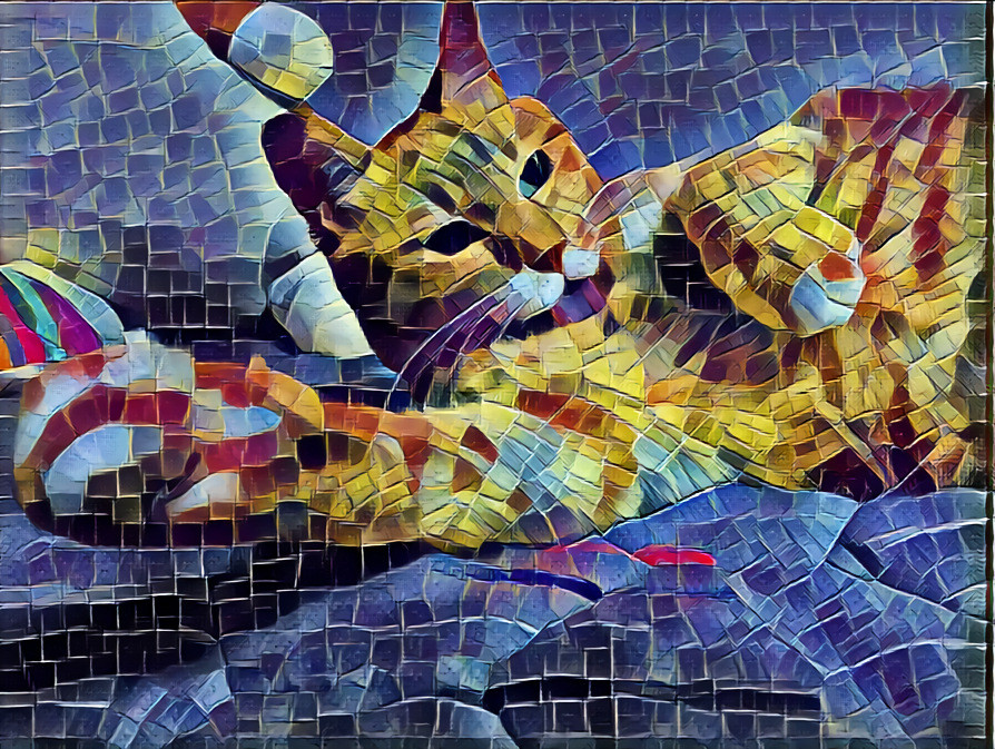 Tiled Cat