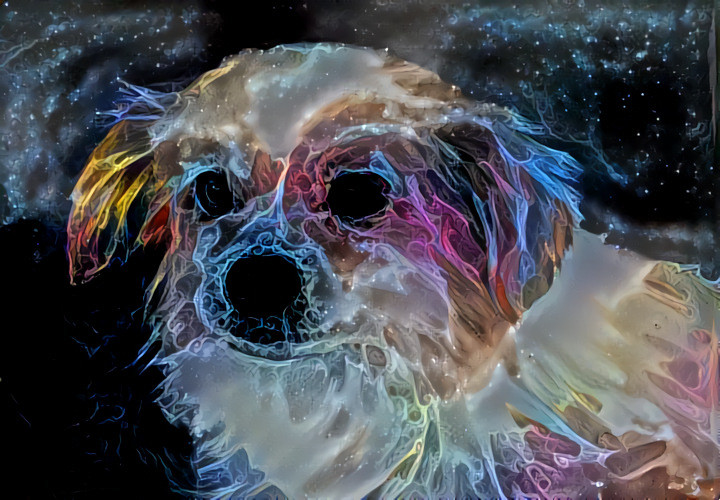 Galaxy dog