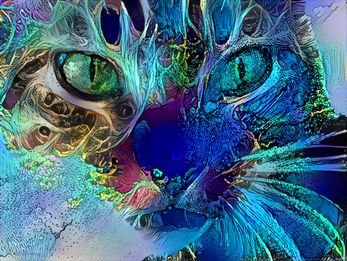 Blue Cat Dream