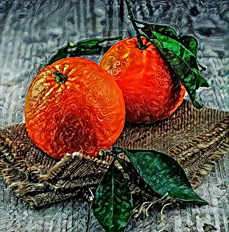 Oranges Still Life