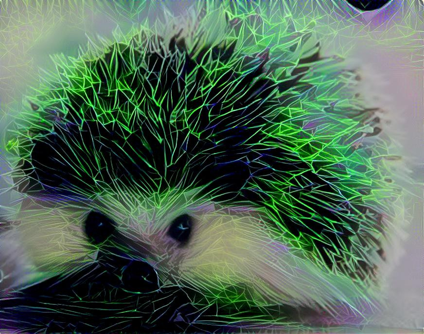 Hedgehog 