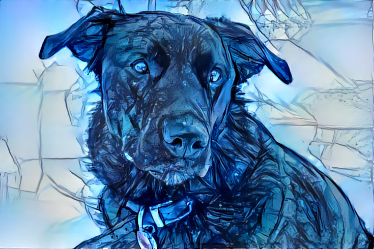 Blue Winter Lab