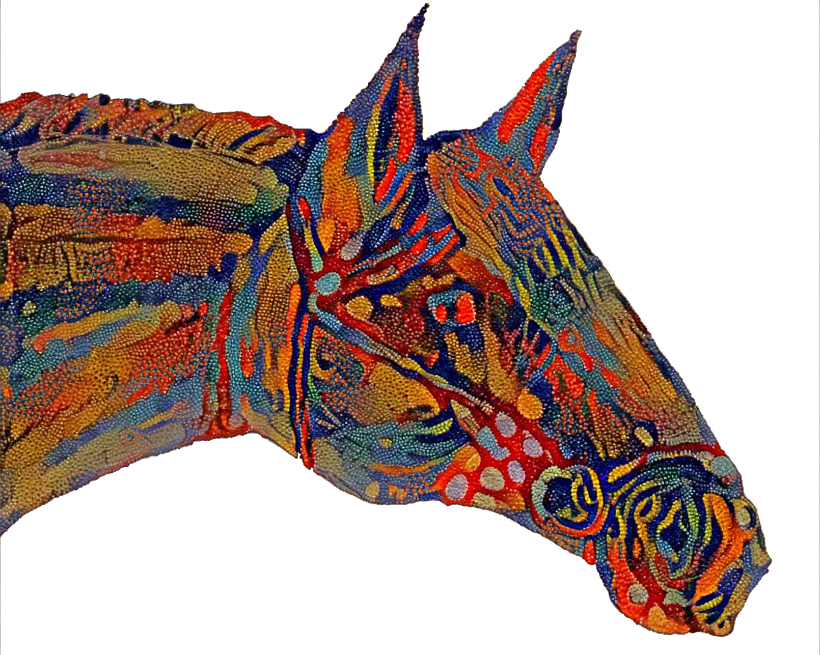 ‘Horse of a Different Color’