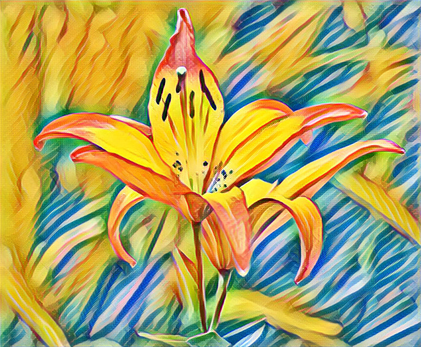 One-Day Lily