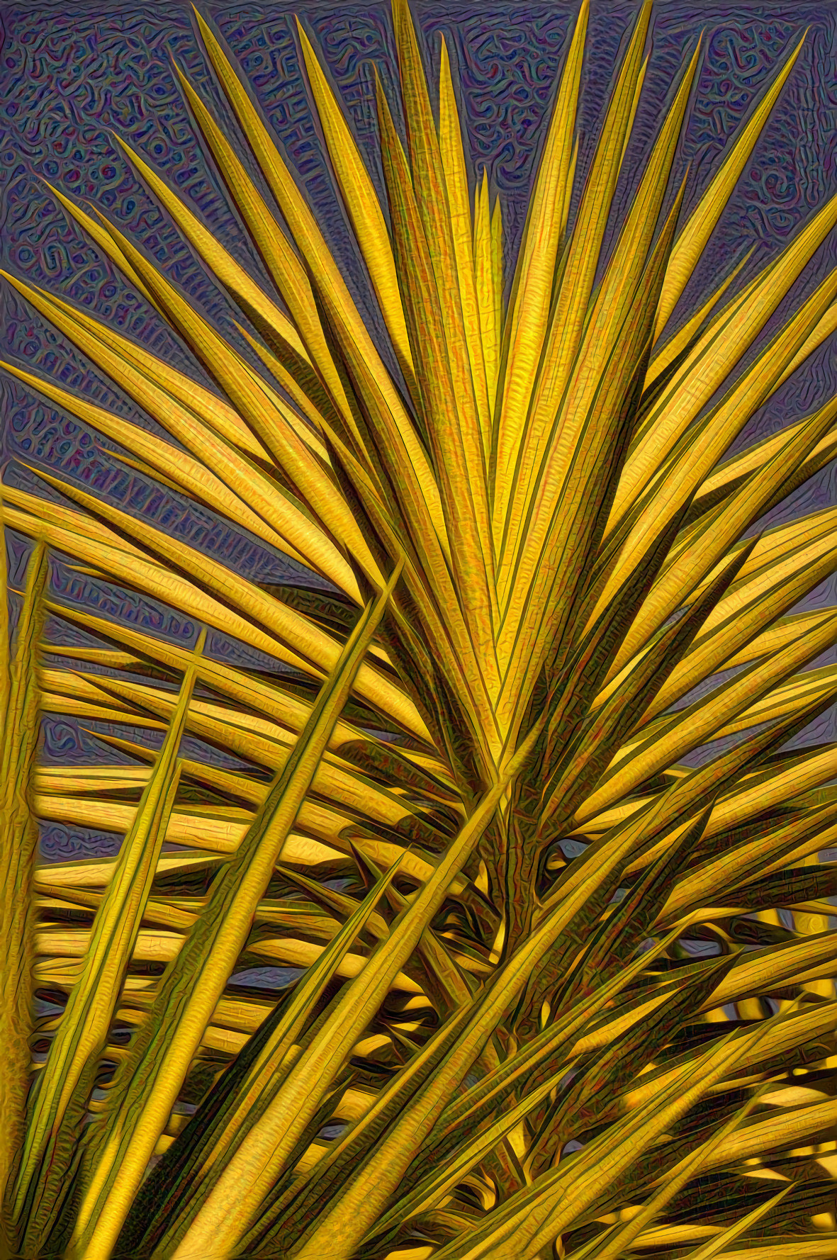 Yucca Leaves