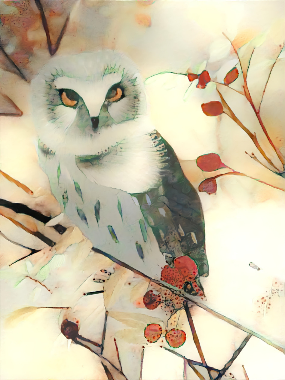 Owl