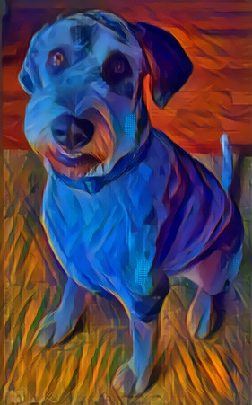 Ziggy the Dog