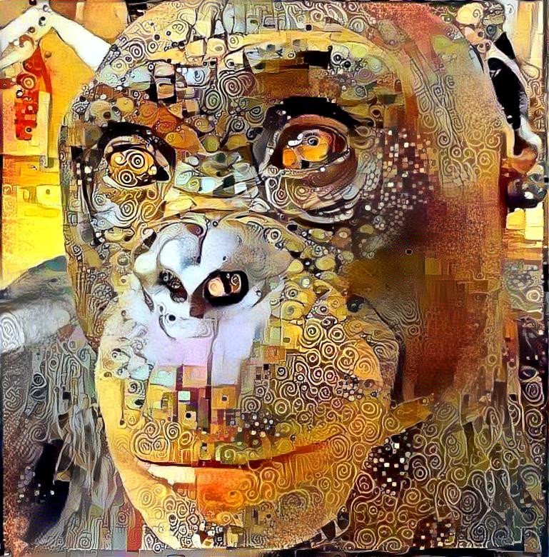 chimpanzee1