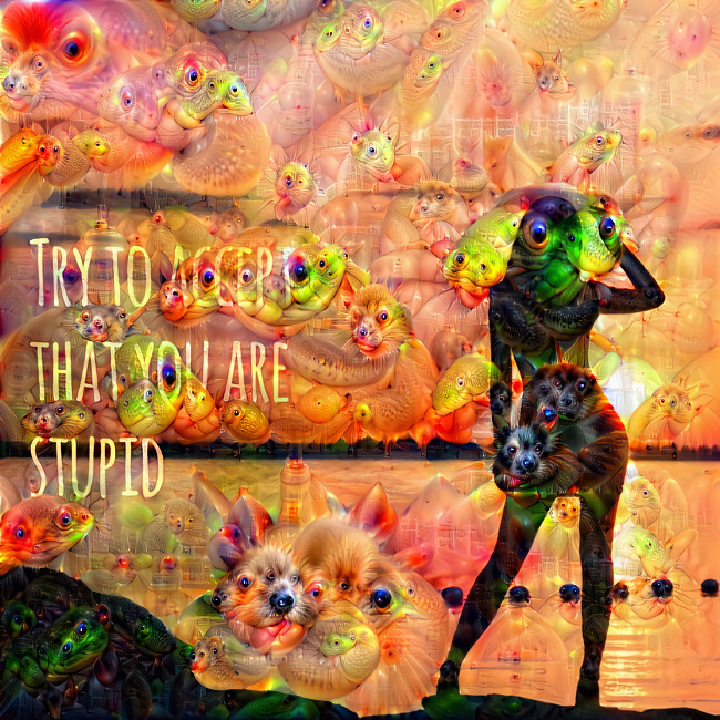 Try to accept that you are stupid