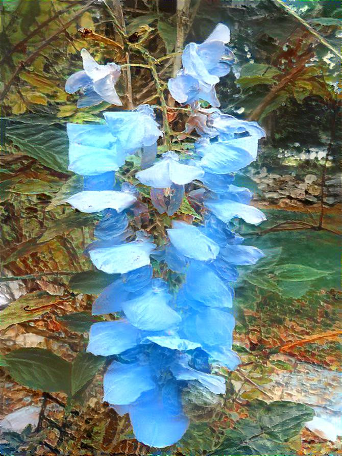 Neat - Hanging Flower on Climbing Plant