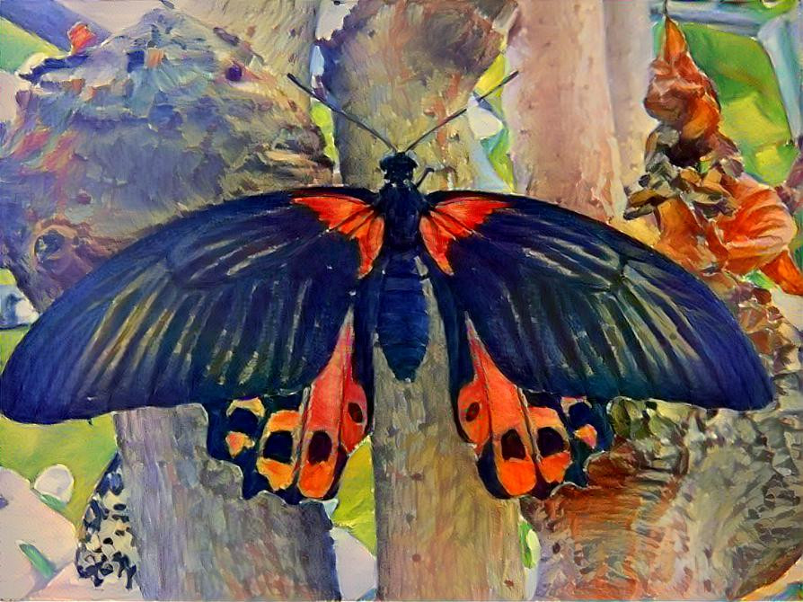 Butterfly