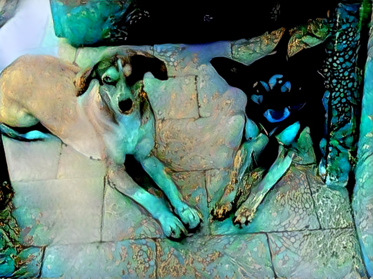 Brandy & Lucky watching me prepare their meal ...