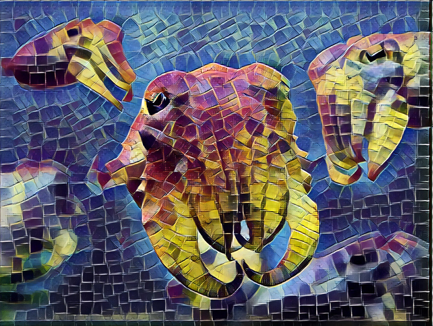 Mosaicuttlefish