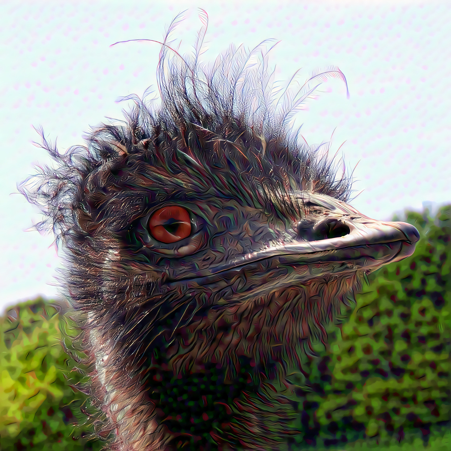 Emu