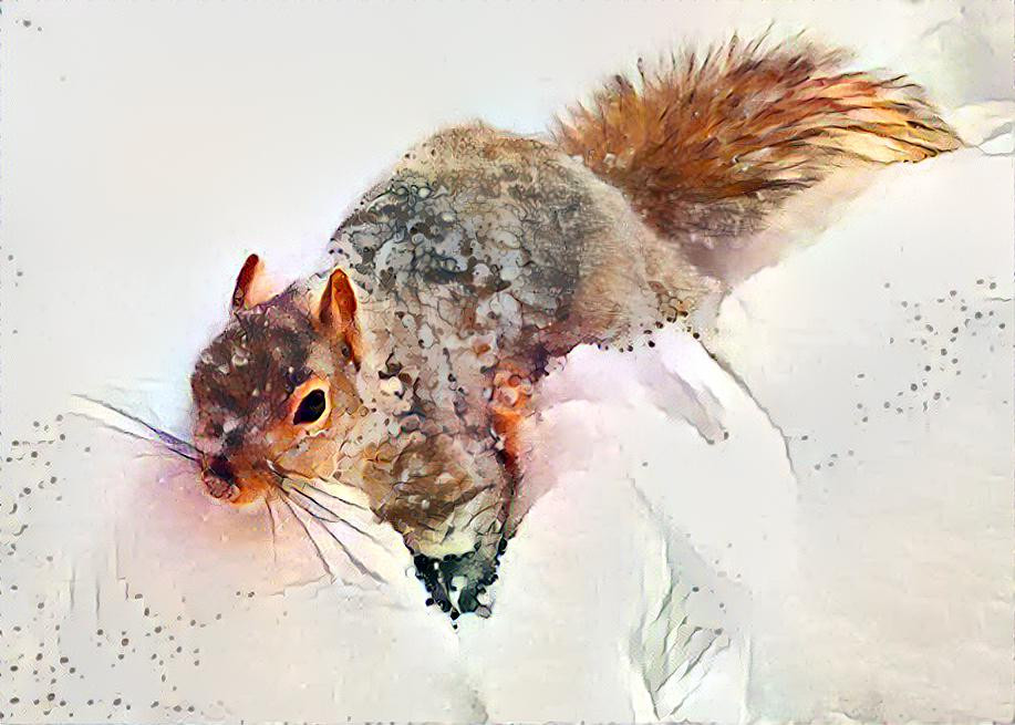 Winter Squirrel