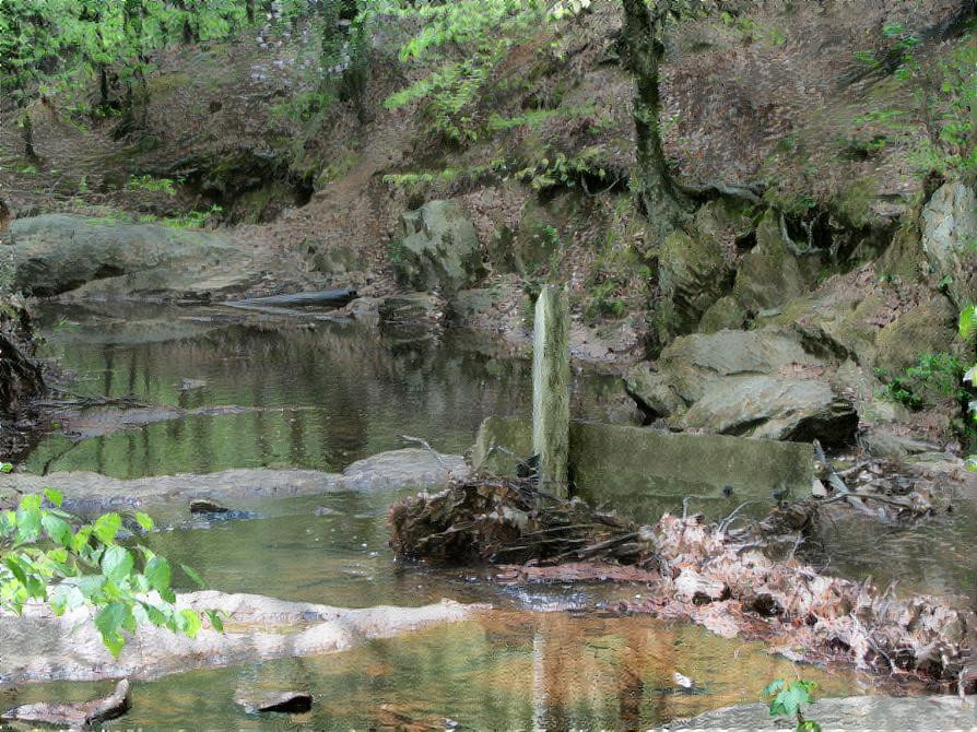 Reflections in a stream