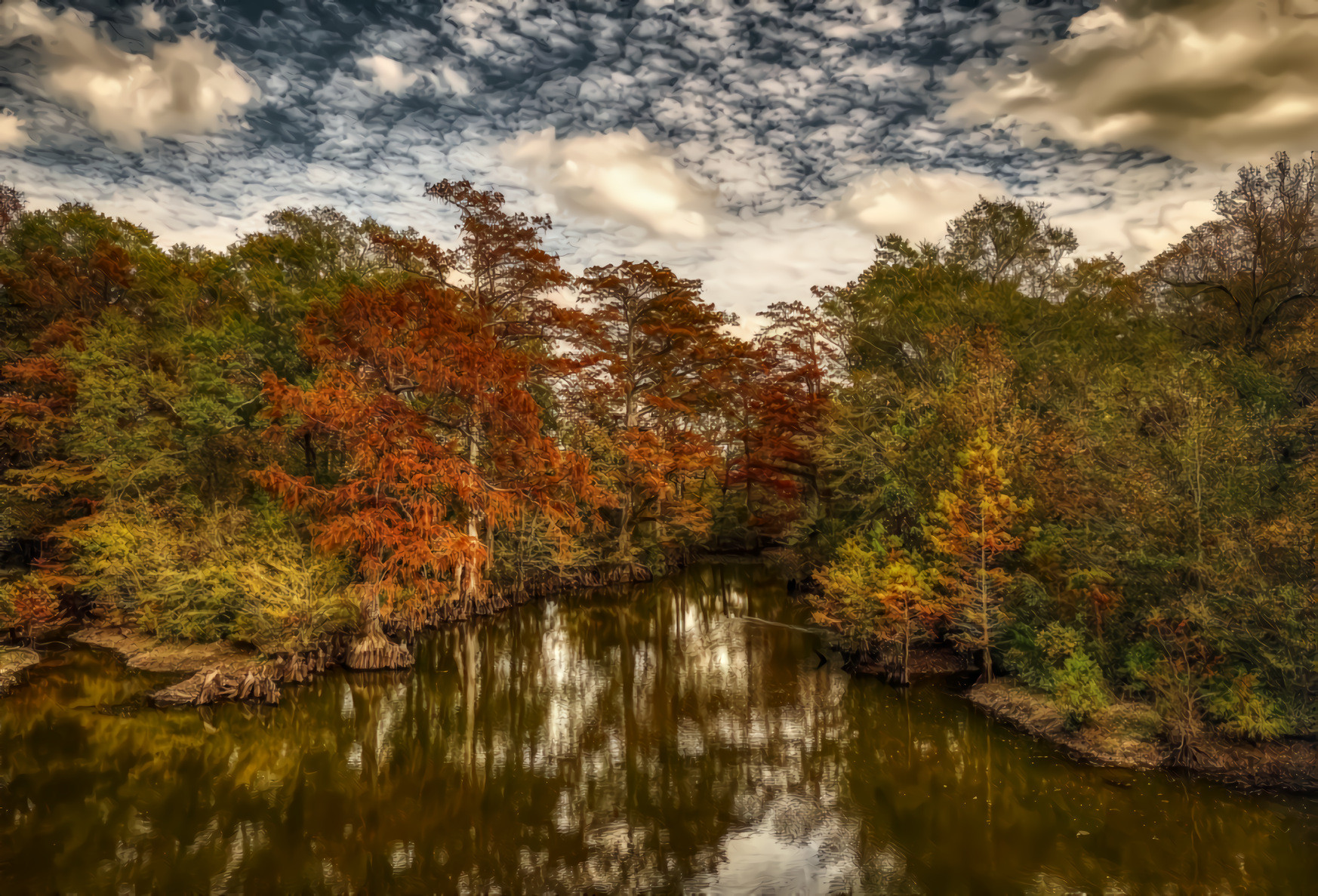 Cypress Trees, Forest, Pond