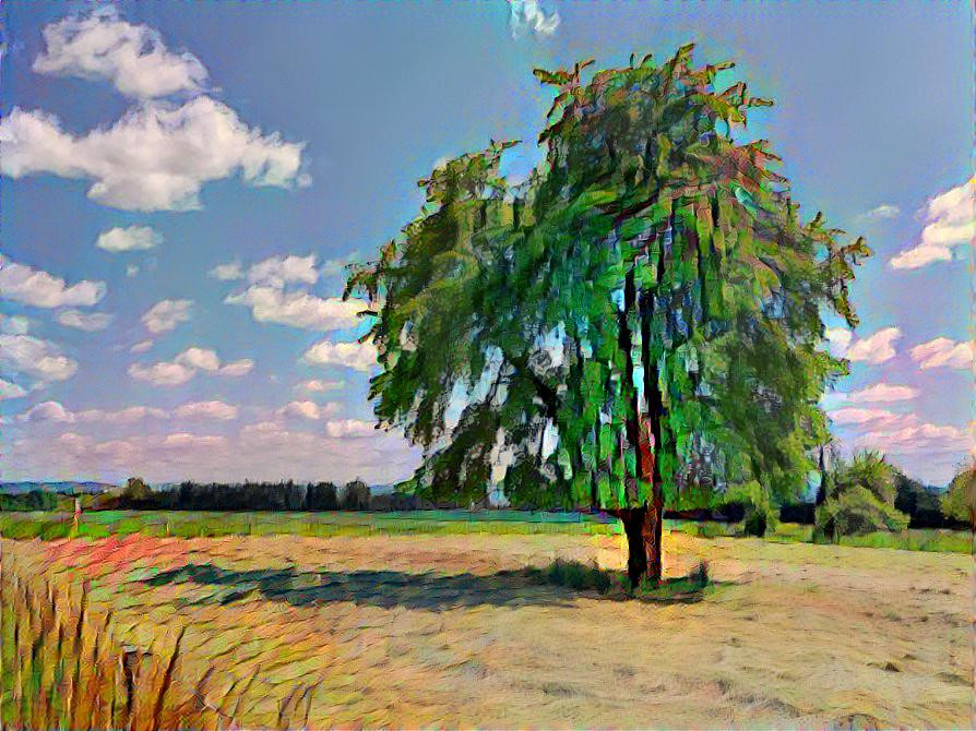 Landschaft mit Baum