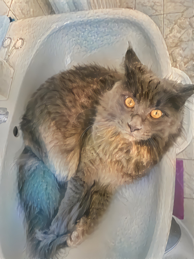 Cat in a sink