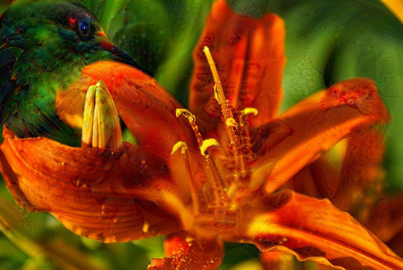 Bird and daylily