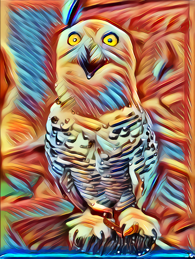 Wise Owl