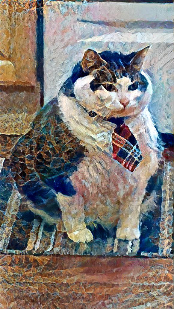 Business Cat