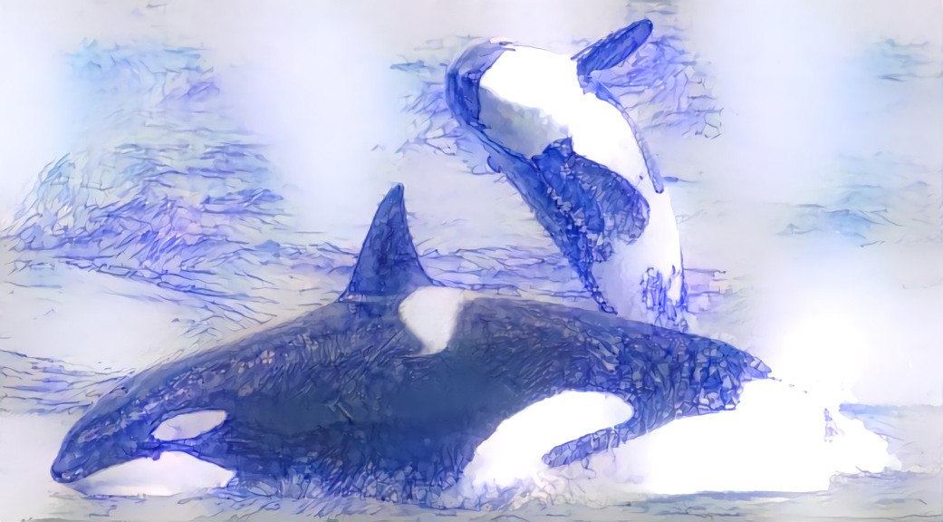 Orca Day Dream