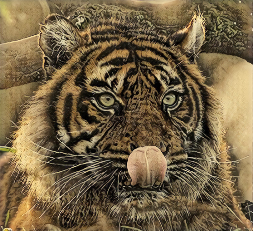 Tiger Tongue