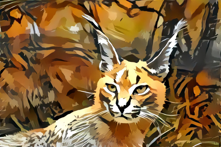 Lynx