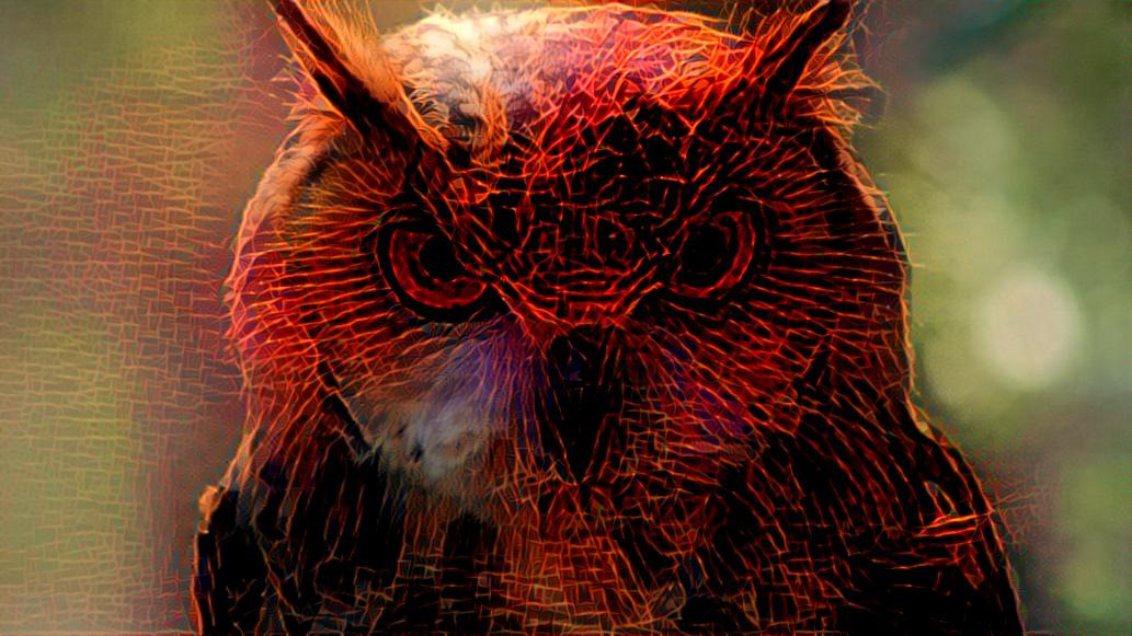 owl