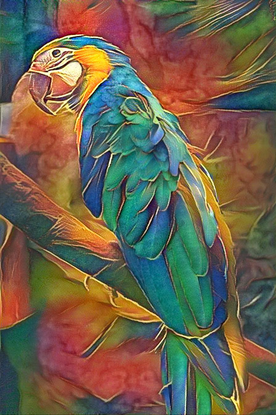 parrot