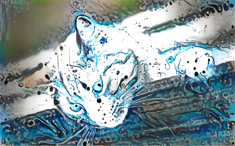 Water cat