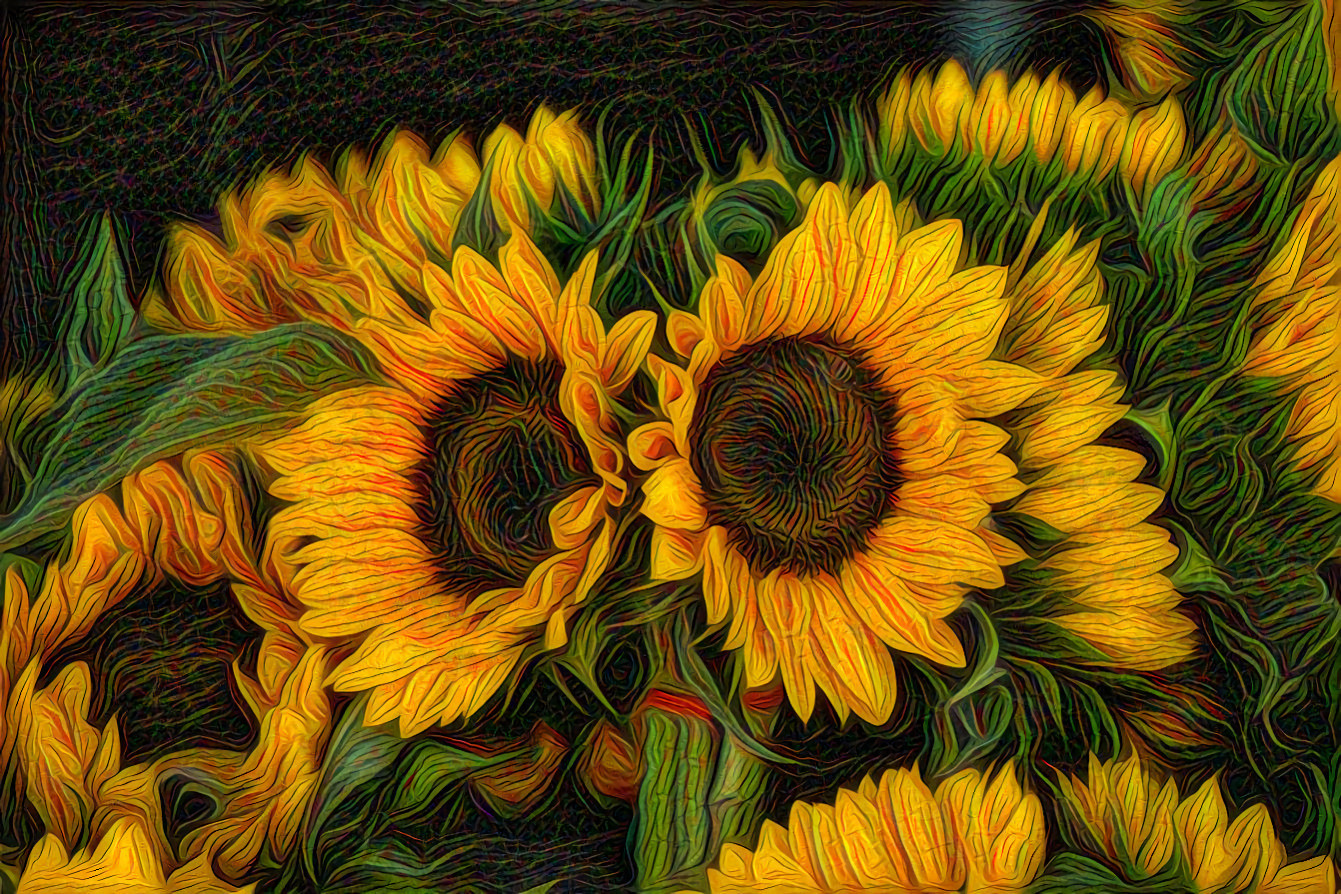 Sunflowers