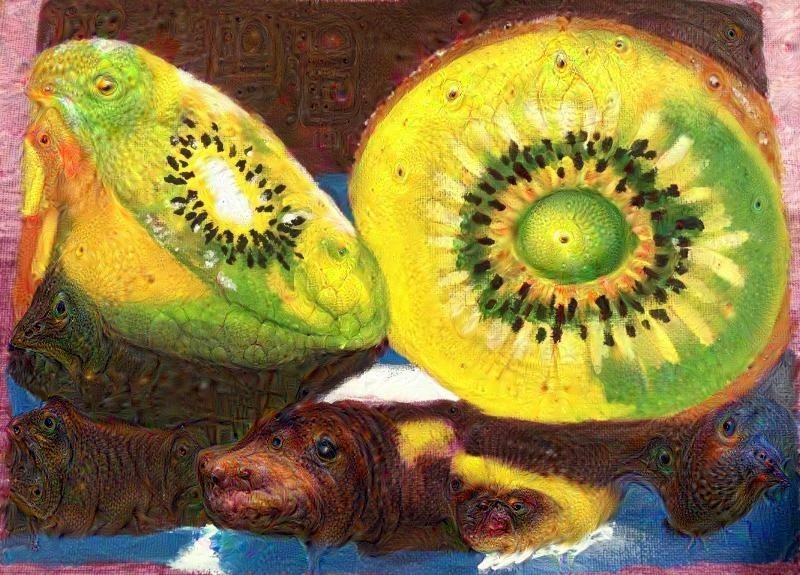 Kiwi painting