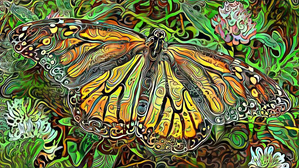 Psychedelic Monarch