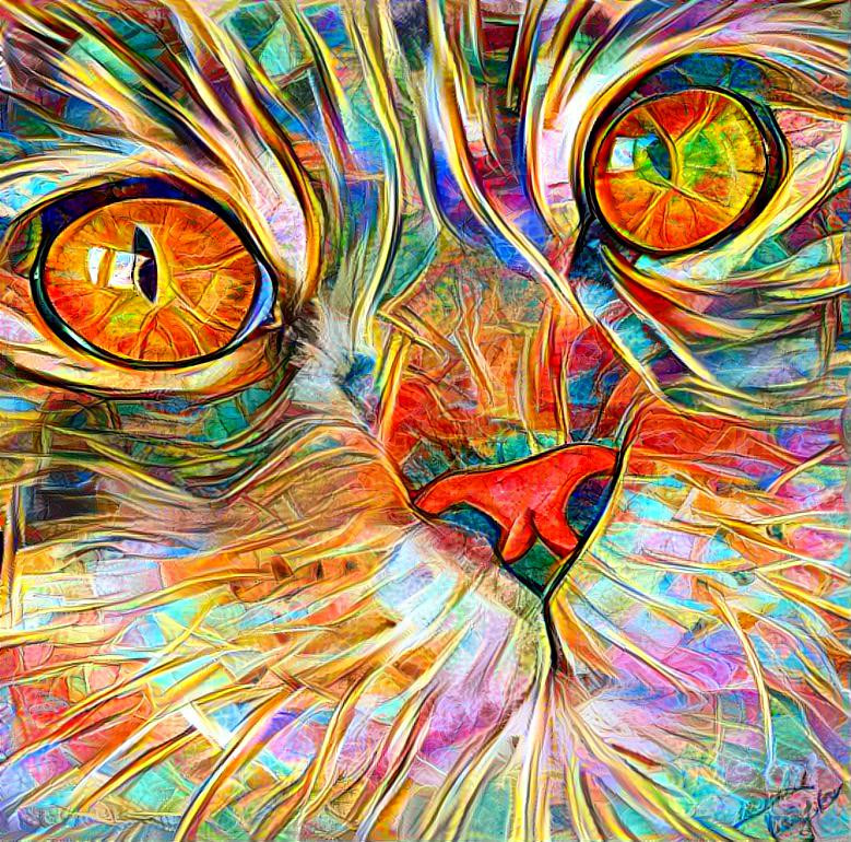 Inside a cats mind