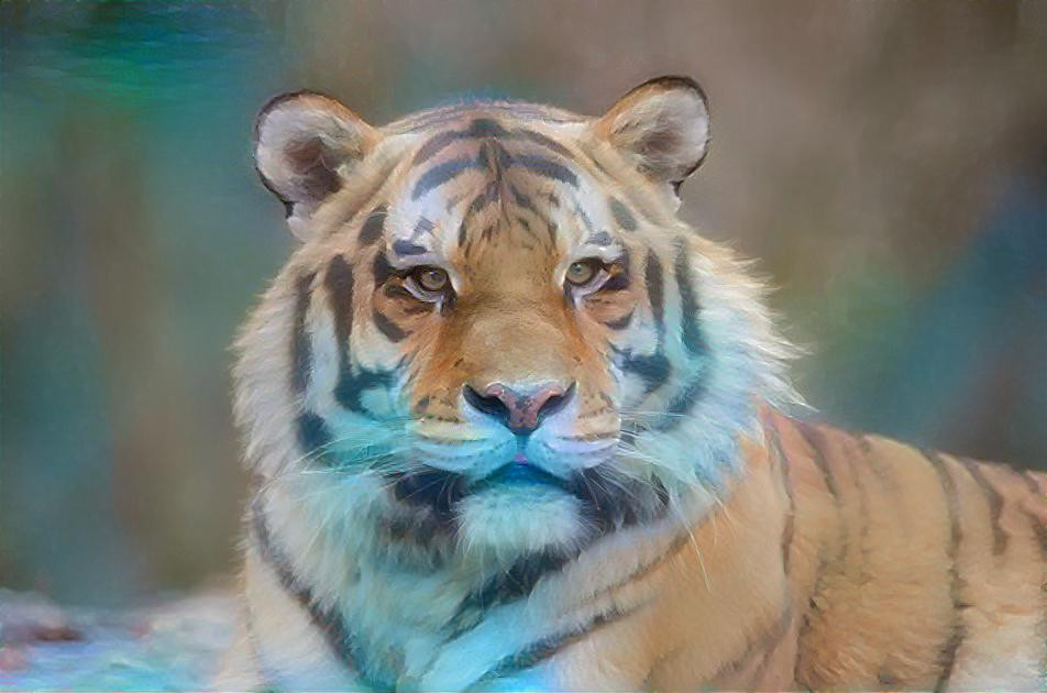 tiger