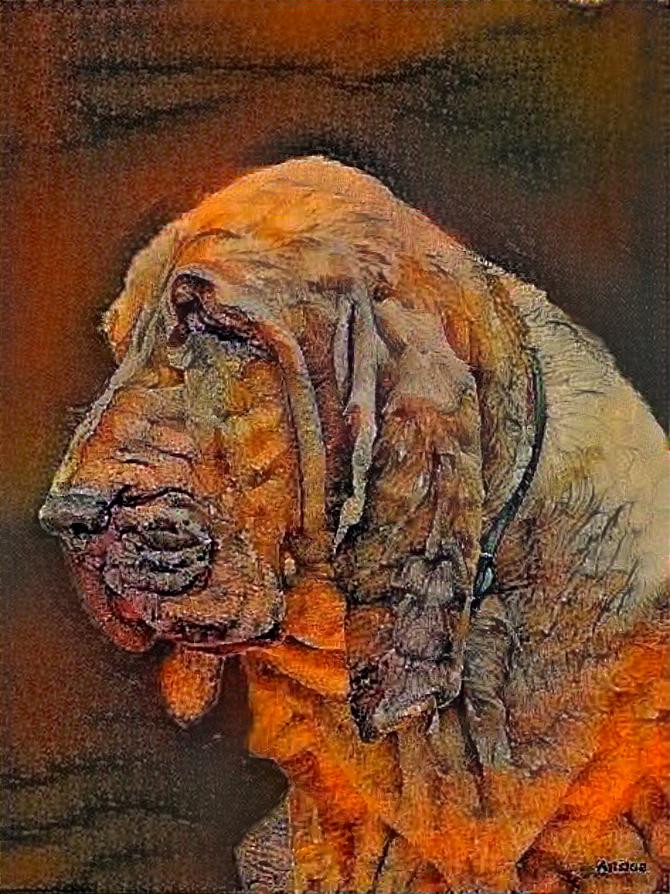 My bloodhound girl Iranda