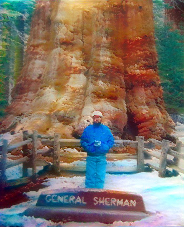 General Sherman Redwood