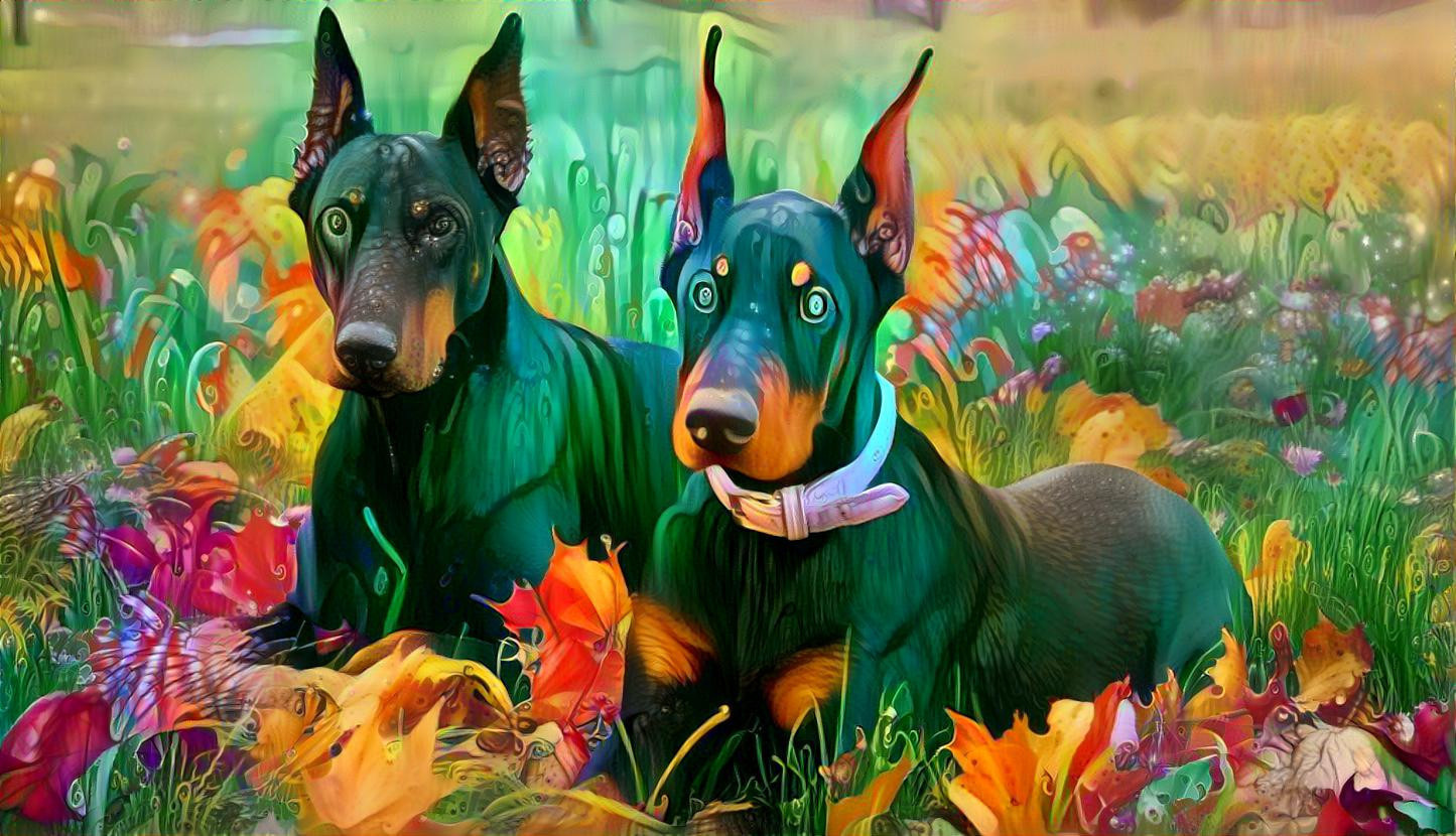 Dobermans in autum