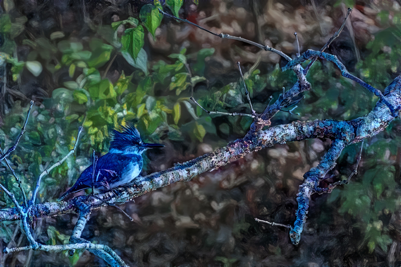 Kingfisher