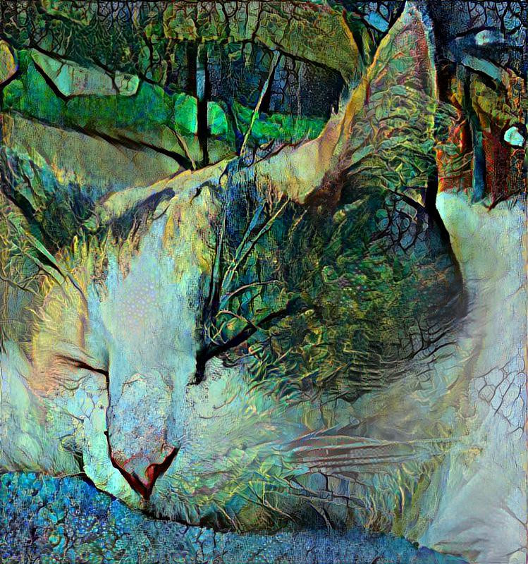 Kitteny dreams 3