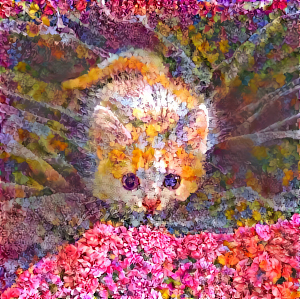 Flower kitten