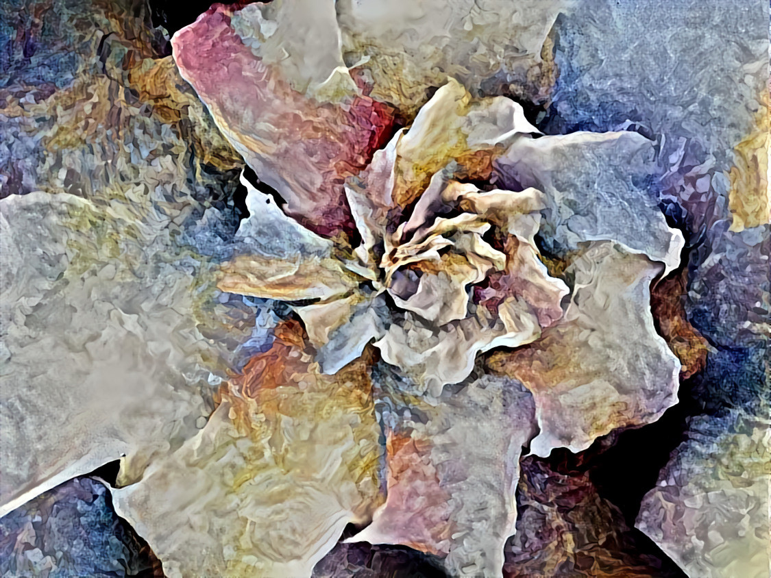 "Rustic petals" _ source: "Renge" - digital art by GabriellaSperanza _ (201220)